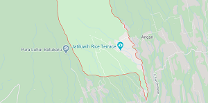 مزارع برنج Jatiluwih در بالی