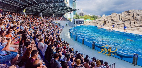 مکان پر از هیاهوی دلفیناریوم باتومی