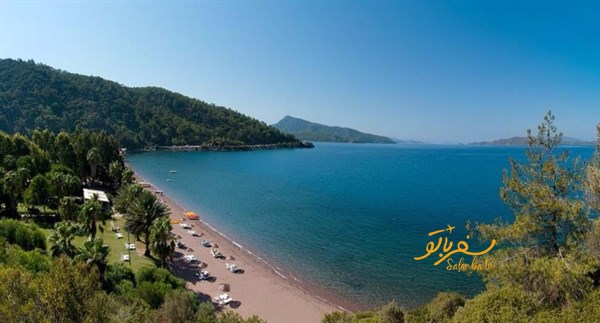 خلیج پر آوازه  هیشارونو